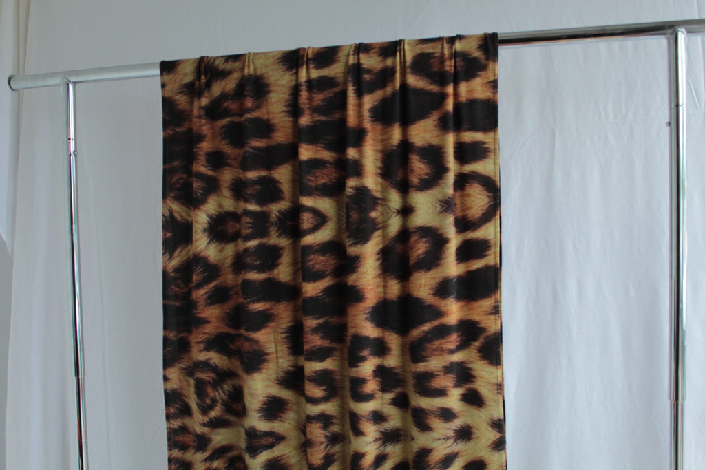 Leopard